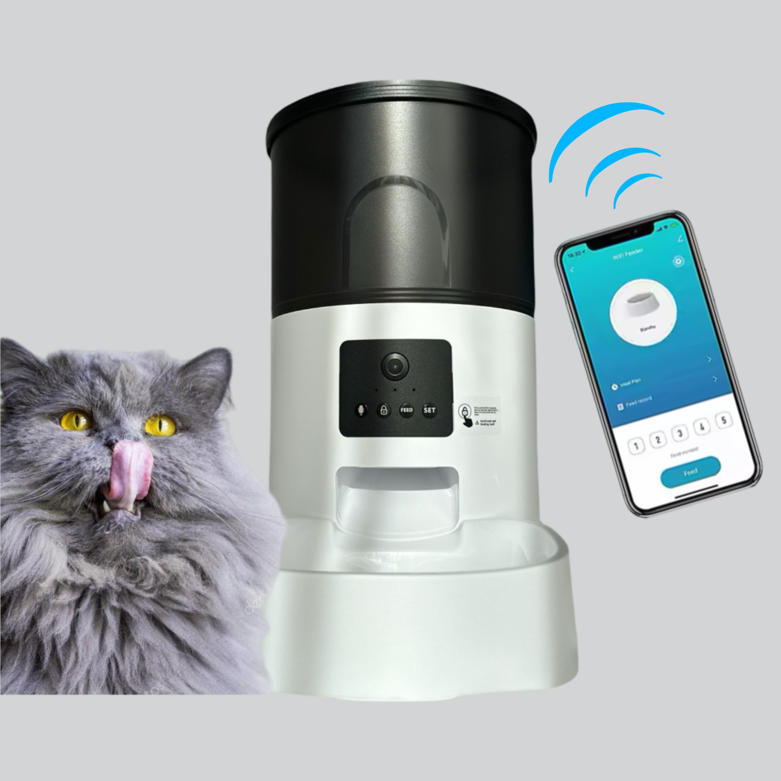 Ce este un Dozator Automat Mancare pentru Pisici și Caini?(2024)